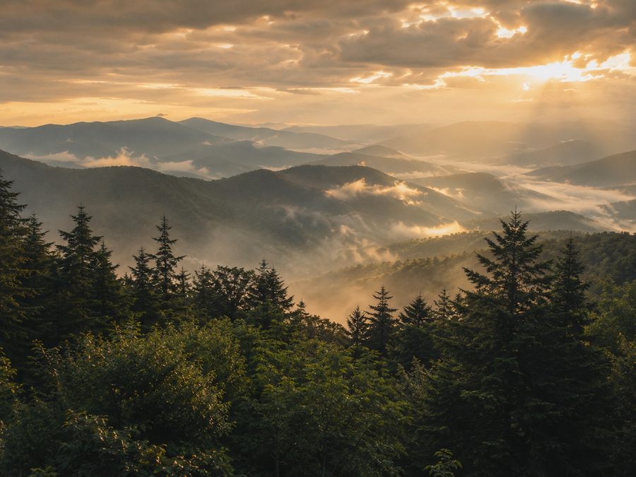 Great Smoky Mountains layered in natural mist and warm late-day light