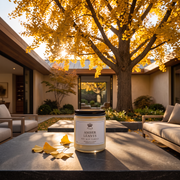 AMBER LEAVES 9 OZ SOY CANDLE