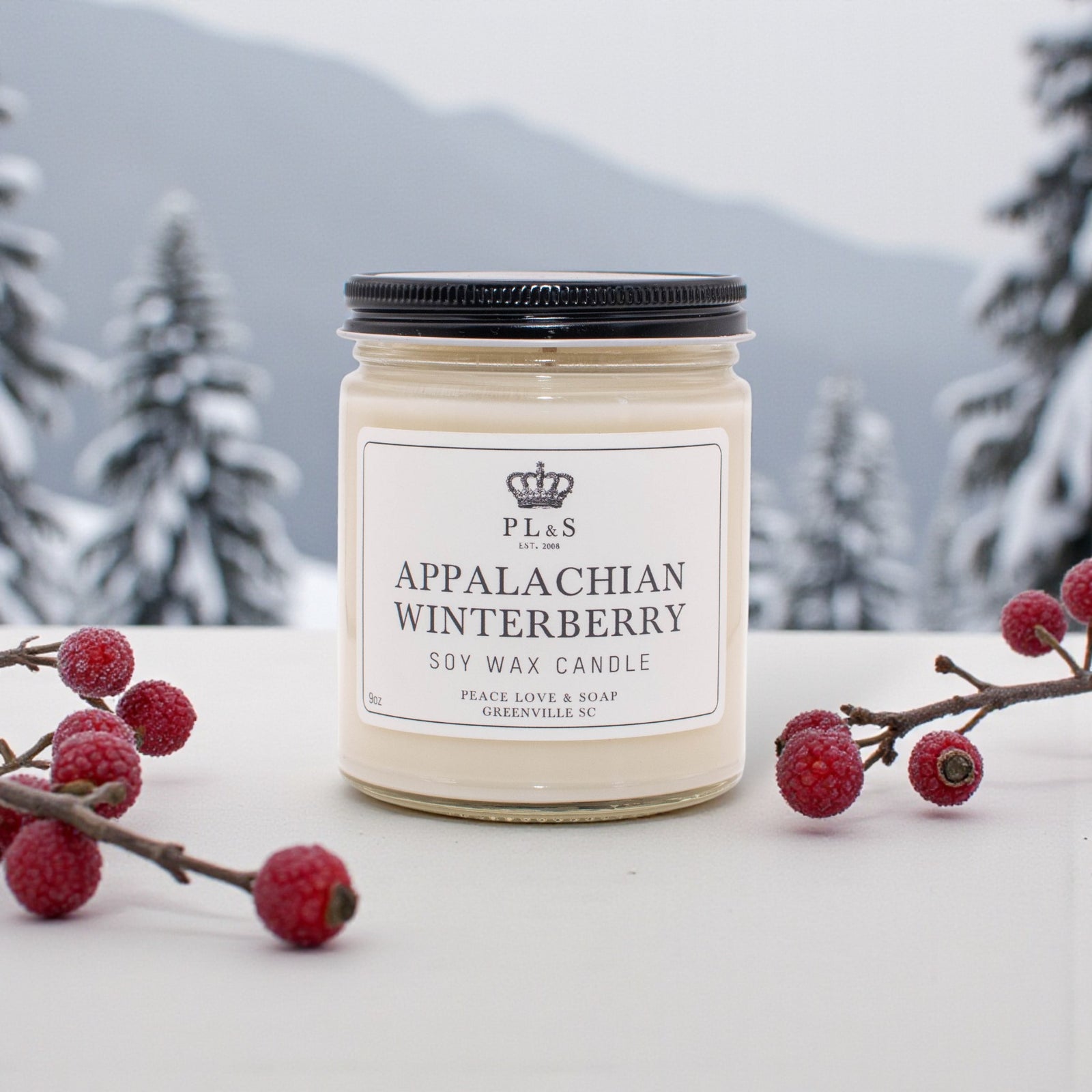 APPALACHIAN WINTERBERRY - 9oz Soy Candle