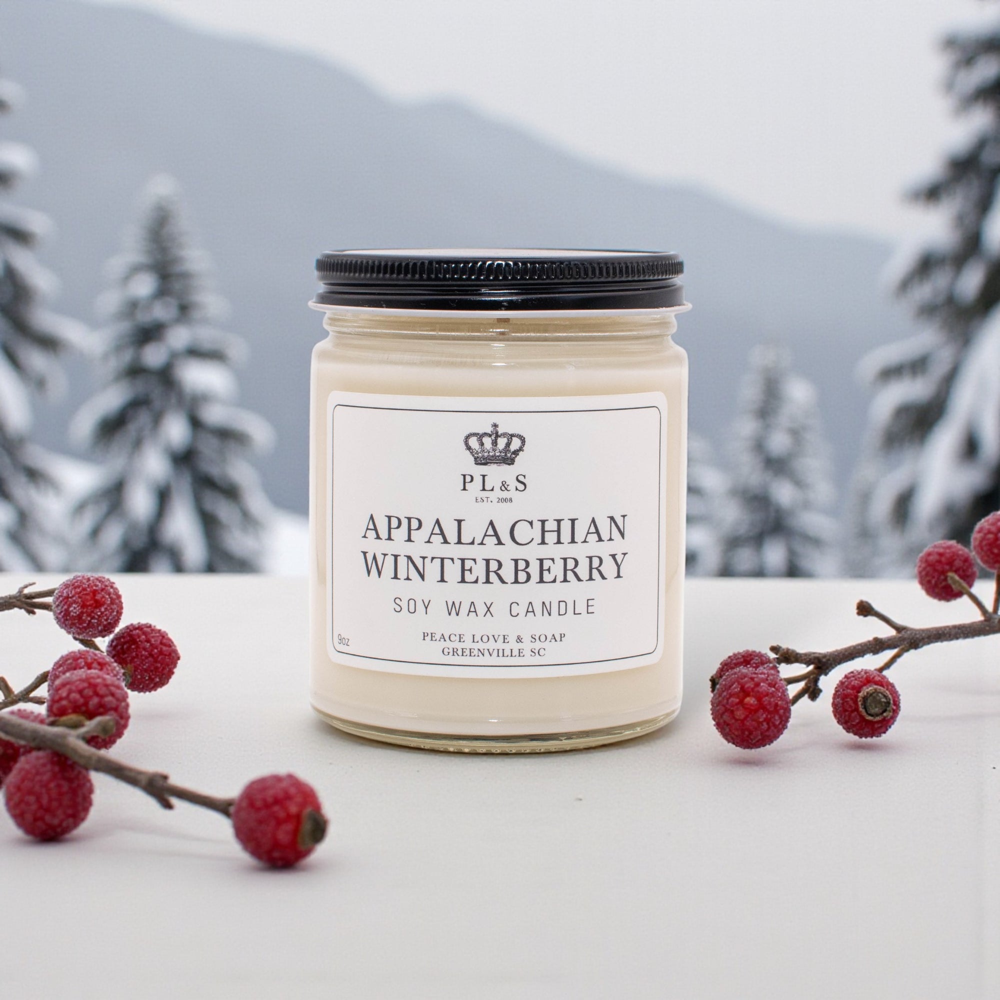 APPALACHIAN WINTERBERRY - 9oz Soy Candle