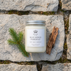 BLUE RIDGE PARKWAY 16 OZ SOY CANDLE