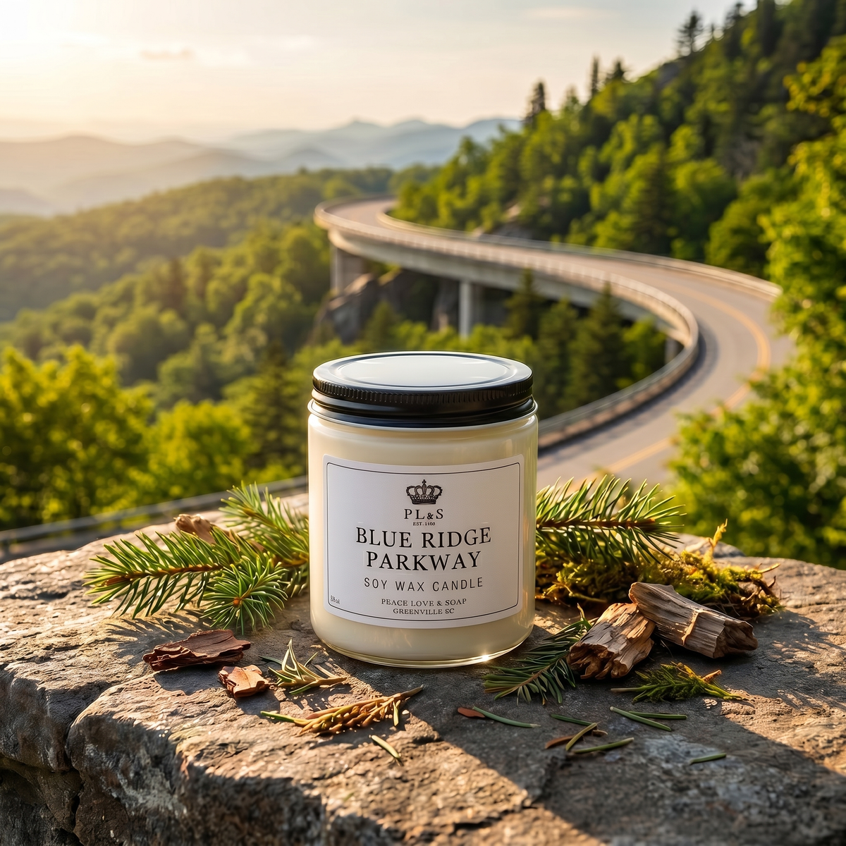 BLUE RIDGE PARKWAY 9 OZ SOY CANDLE