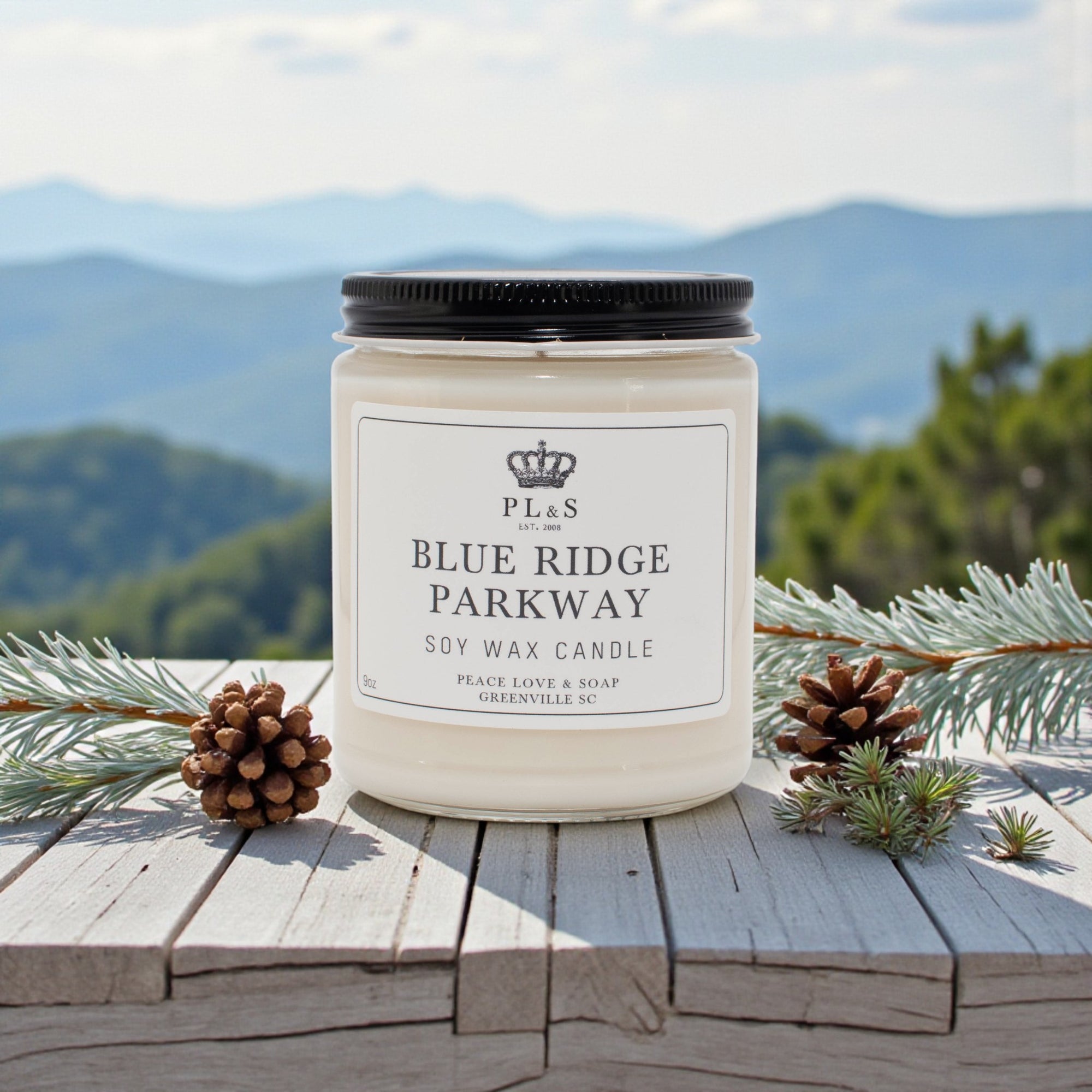 BLUE RIDGE PARKWAY - 9oz Soy Candle