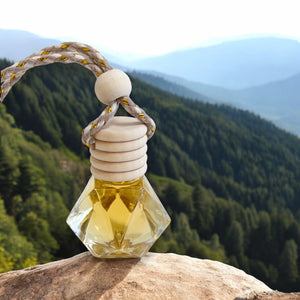 BLUE RIDGE PARKWAY - Car Diffuser