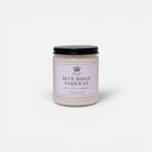 BLUE RIDGE PARKWAY 9 OZ SOY CANDLE
