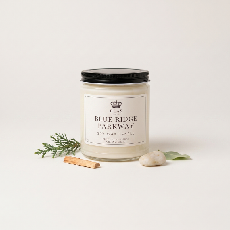 BLUE RIDGE PARKWAY 9 OZ SOY CANDLE