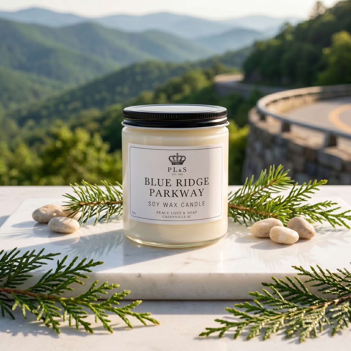 BLUE RIDGE PARKWAY 9 OZ SOY CANDLE