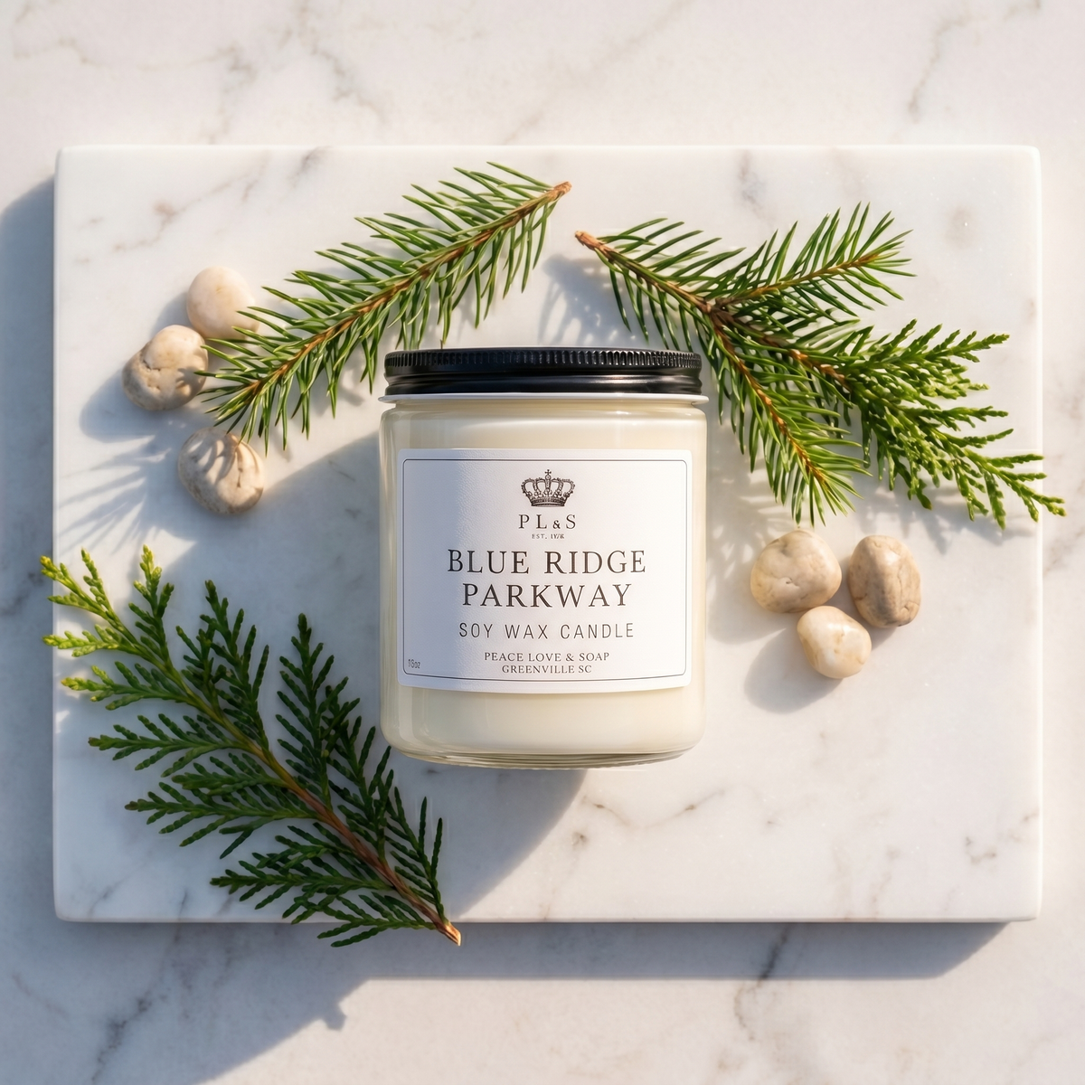 BLUE RIDGE PARKWAY 9 OZ SOY CANDLE